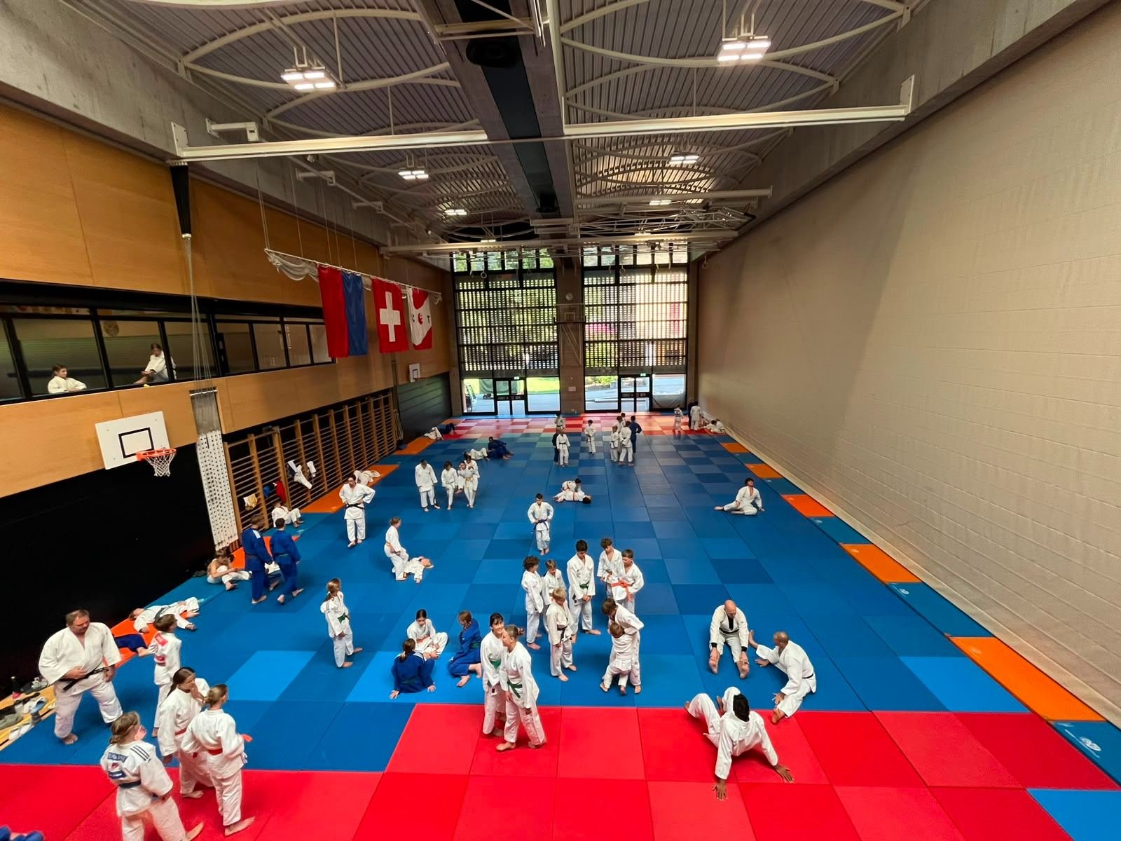 Judo-Technik Training in der Halle